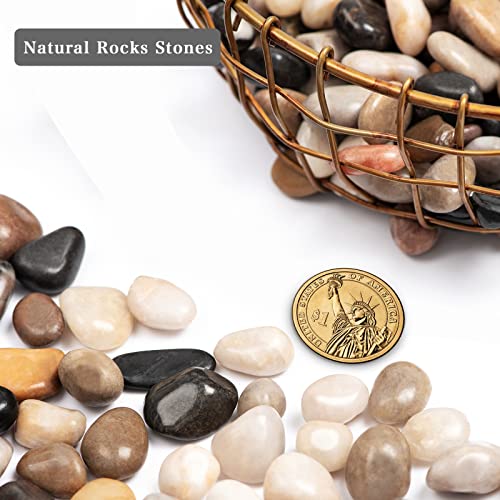 20lbs Natural River Rocks (320 Ounce)