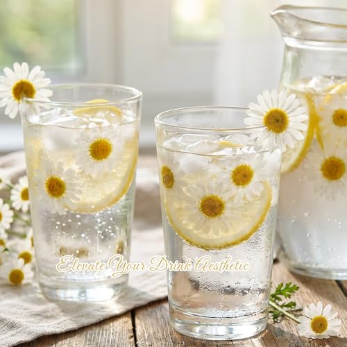48 Pcs Natural Dried Pressed Daisy Flowers for Cake Decorating (Daisy)