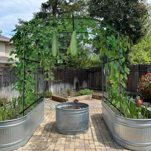 87''H x 75''L Garden Arch Trellis (75'' L x 71'' W x 87'' H/Black)