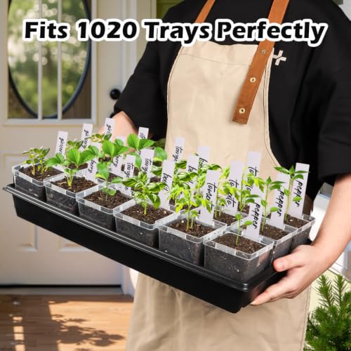 3.3 Inch Clear Nursery Pots with Drainage (Clear Pot+labels / 3.3Inch)