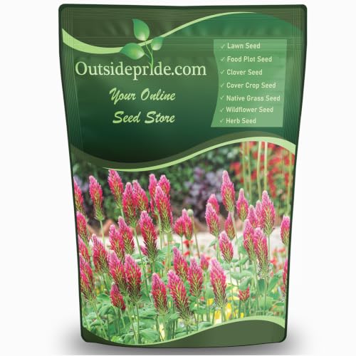Crimson Clover Seeds (640 Ounce)