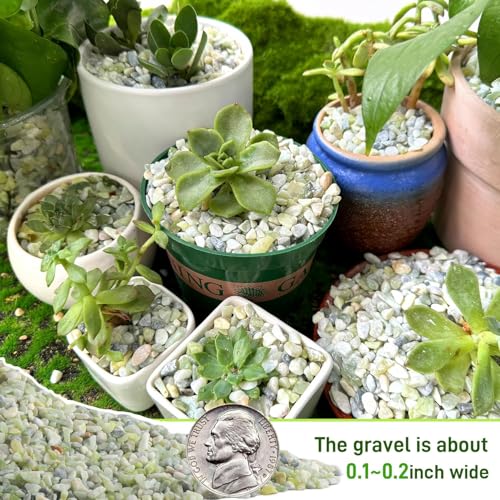 45lb Jade Bean Stone (45 lb(new) / Light Green)