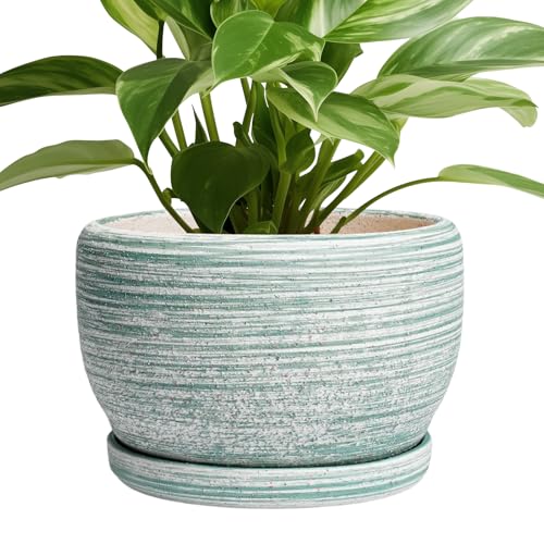 Ceramic Planters for Indoor Plants