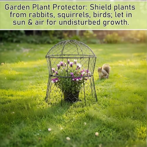 Garden Cloches for Plants 6 Pack Metal Plant Protectors from Animals Chicken Wire Cloche Updated Plant Cages for Outdoor Plants Vegetables Seedlings 13" D x 14" H (6 Pack)