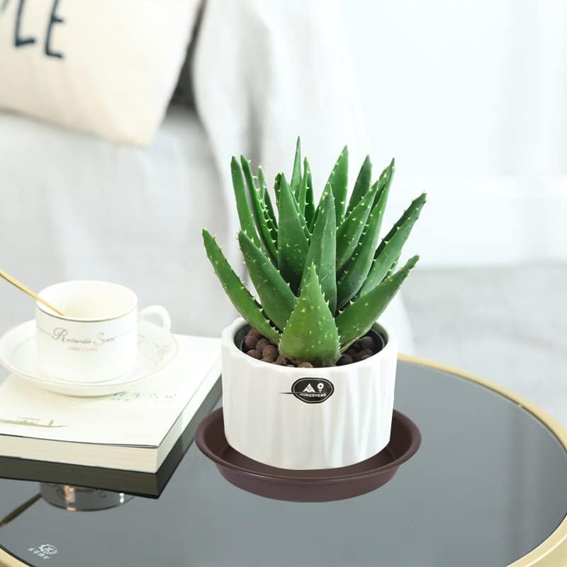 6 Pack Plant Saucer Drainage Tray (6" / Dark Brown)
