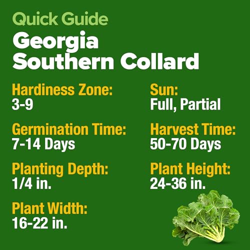 Georgia Southern Collard Seeds