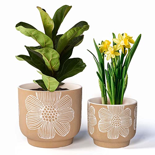 Ceramic Plant Pots (8+6 Inch / Modern Tan Floral)