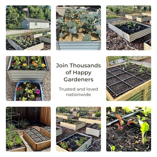 Garden Grid 2x4