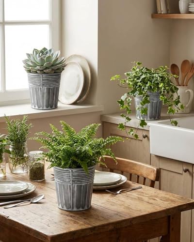 5 Inch Galvanized Bucket Planters (6 Count)