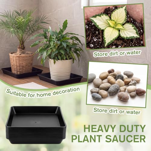 12 Pcs Plastic Plant Saucers Tray (Black / 10 Inch / Square)