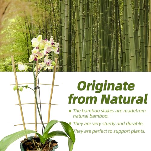 10 Pack 16" Bamboo Trellis for Climbing Plants