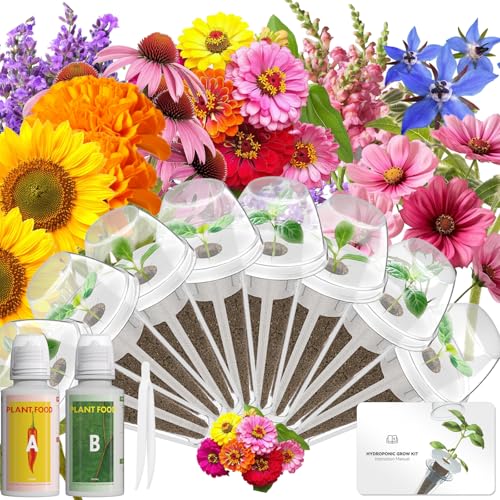 Herb Seed Pod Kit Compatible with AeroGarden Hydroponics Growing System (8-pods / Vibrant Flower)