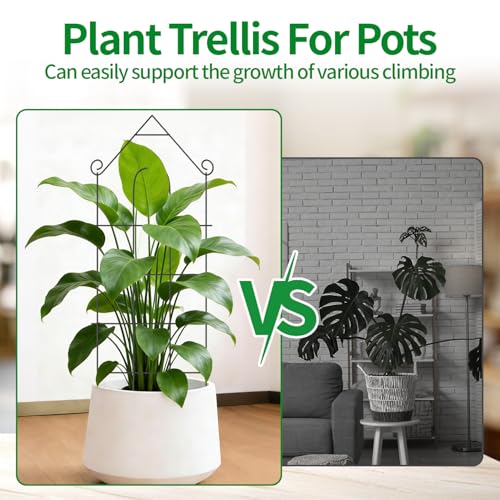 24" Plant Trellis (6Pack-24 inch house shape)