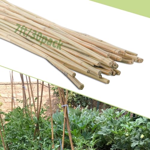 30Pcs 7ft Bamboo Plant Stakes for Indoor Outdoor Plants (7 FT 30PCS)