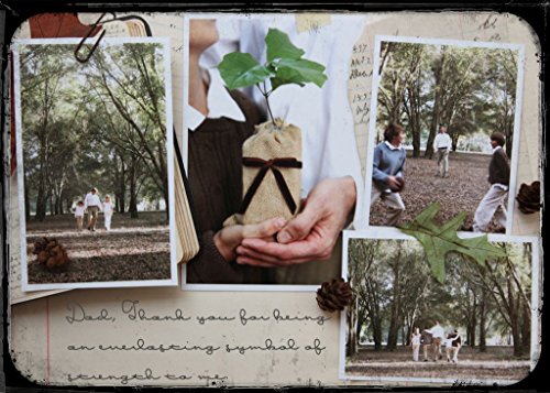 Father's Day Live Persian Lime Tree Gift
