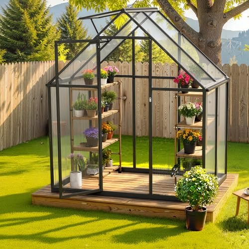 6 x 4 FT Polycarbonate Greenhouse (6*4 Ft)