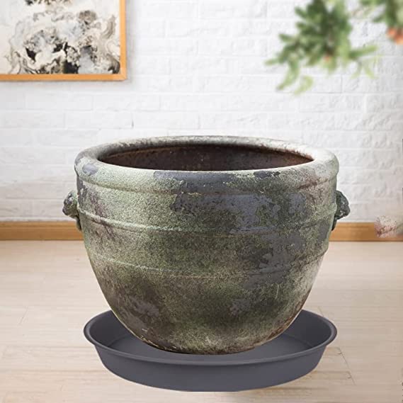 2 Pack of 10 inch Plant Saucer Gray (10" (2 pack) / Cement)