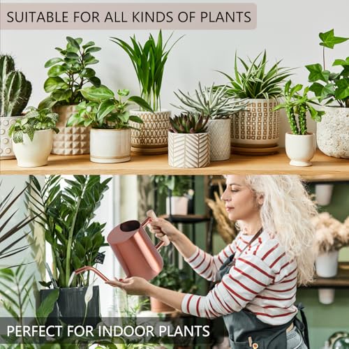 Watering Can Indoor Plants (Copper)