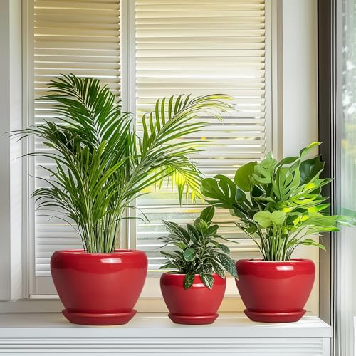 Ceramic Plant Pots (10+8+6 Inch / Bright Red)
