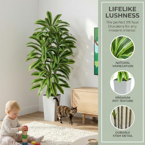 Artificial Dracaena Tree (Light Green – White Pot / 5FT)