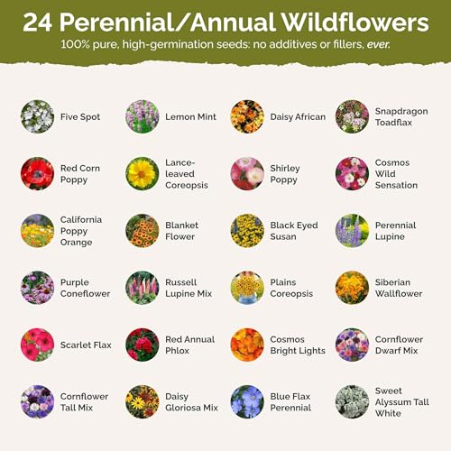 Georgia Wildflower Mixed Seeds for Planting