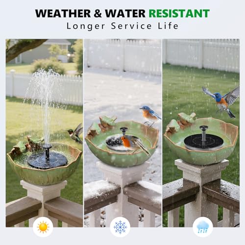 Solar Powered Ceramic Bird Bath for Outdoors (Green and Black)