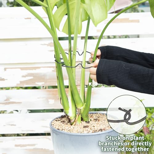 5.5×4.7IN Monstera Plant Stem Support (Black / 5.5IN*4.7IN)