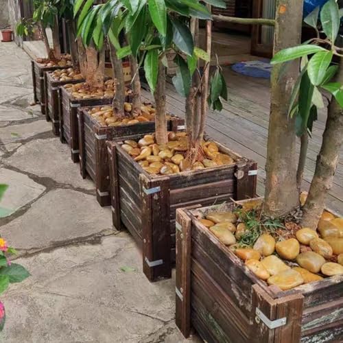 20 lbs Yellow River Rocks for Garden