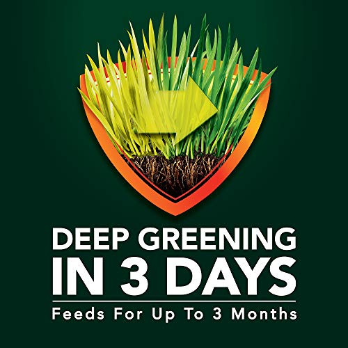 Green Max Lawn FoodFL (10,000 sq. ft. / Florida)