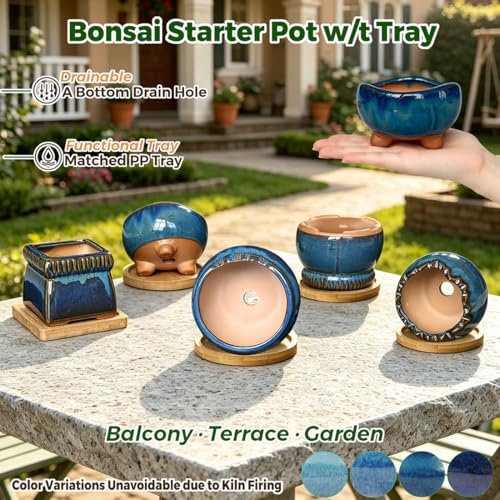 5PACK Glazed Bonsai Planter 3" Small Succulent Pots (5pcs Pots With Trays)
