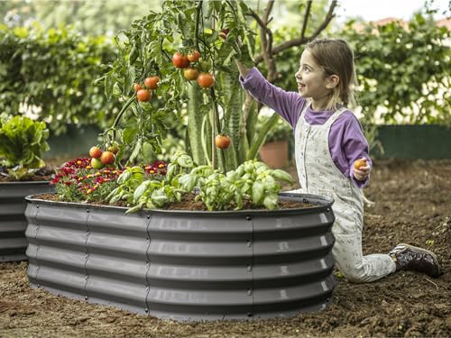 Galvanized Raised Garden Beds Outdoor