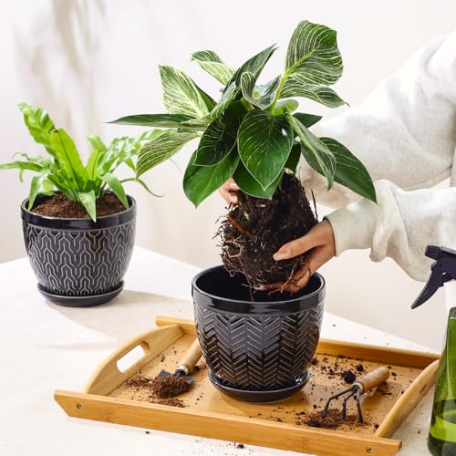 Sureasy 6.5 Inch Ceramic Plant Pots (Black / 6.5 inch)