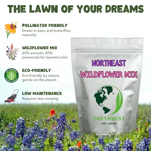 Earthwise Northeast Native Wildflower Seed Mix (1 lb)