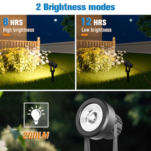 Solar Spot Lights (2 Count)