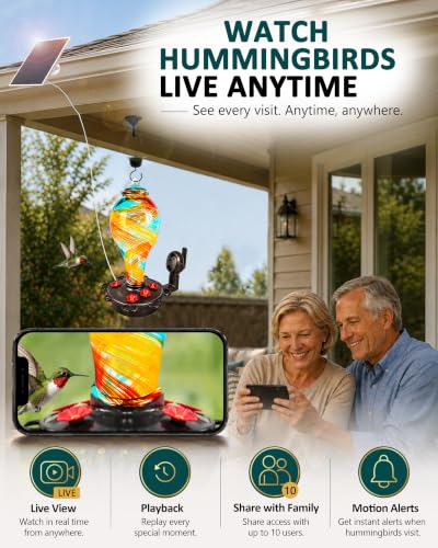 Smart Hummingbird Feeder with Camera for Outdoor Hanging (Ribbon / X-Large)