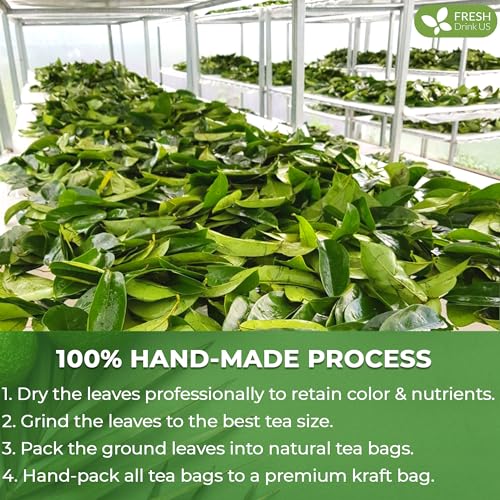 Premium 15 Bags Soursop Graviola Leaf Tea (15 Tea Bags)