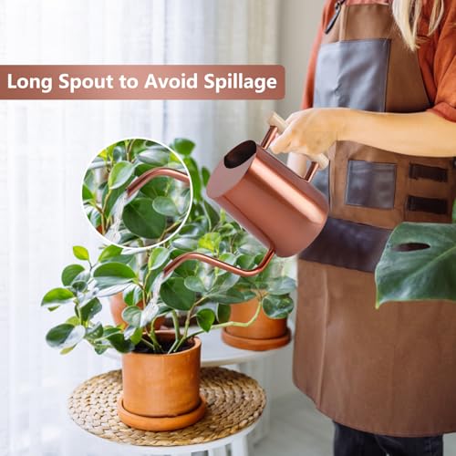 Watering Can Indoor Plants (Copper)