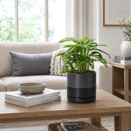 6.5 Inch Ceramic Planter Pot (Small / Slate)
