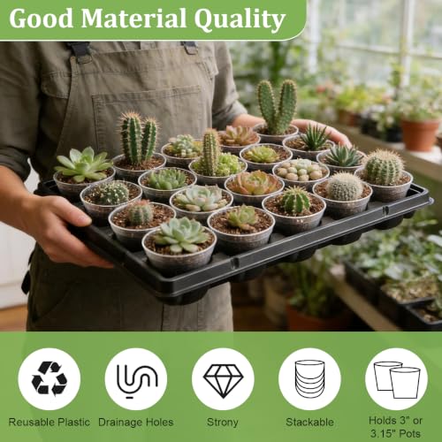 3 Inch Clear Nursery Pots 100 Pcs with 5 Pcs 20 Cell Potting Trays (Clear / 3 Inch Clear Pots 100 Pack with 5 Pack Trays)