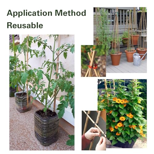 50pcs Bamboo Stakes 6ft (6FT, 50 of pack)