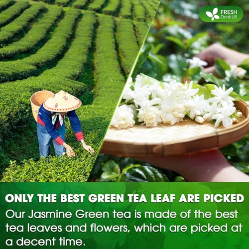 Premium 135 Jasmine Green Tea Bags (135 Tea Bags)