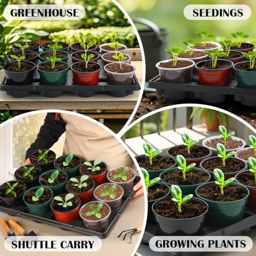 12 Cell Round Nursery Pot Trays Thickened Durable Seedling Pots Shuttle Carrying Trays for Holding 4 Inch Nursery Pots (240 Count)
