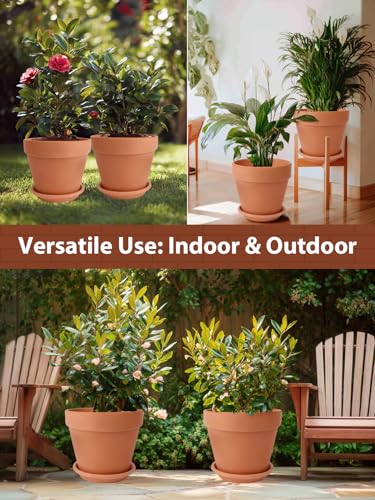 Terracotta Pot Set of 2 with Saucer (10/10 inch -2 pcs)