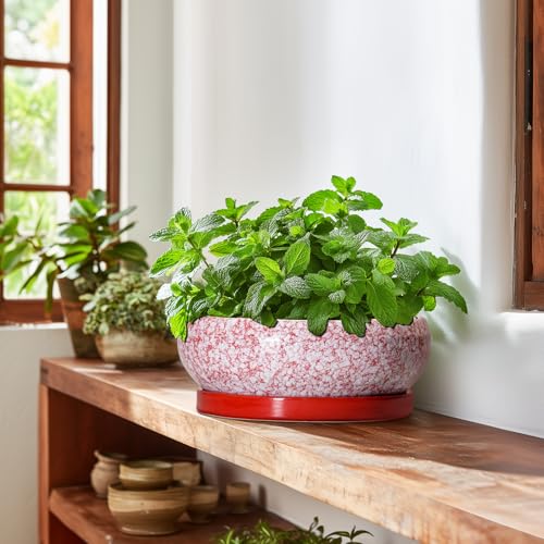 Bonsai Pots 10 Inch (10 Inch / Red-white)