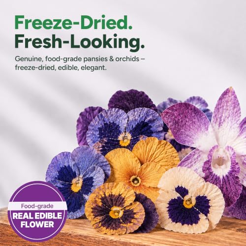Small Pansy & Orchids Edible Flowers (12 Pieces)