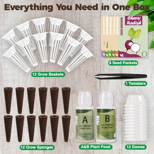 Fruit Seed Pods Kit Hydroponic (Fruit)