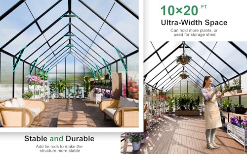 20x10x10 FT Polycarbonate Greenhouse for Outdoors w