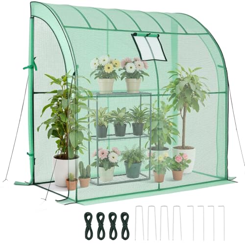 Walk in Greenhouse (Green / 6.5x3.3x6.6 ft)