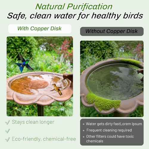 Bird Bath Copper Disk (1Pcs)