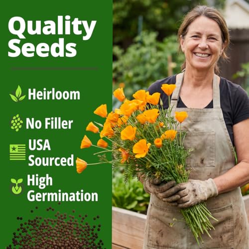 Golden West Poppy 6000 Flower Seeds Eschscholzia californica